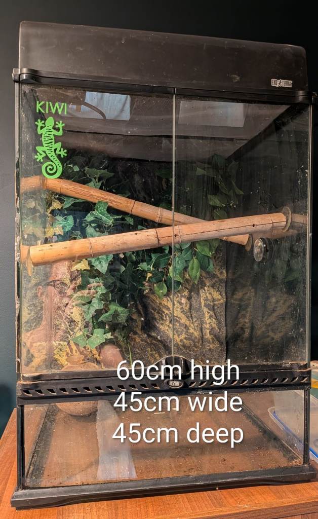 Exo terra terrarium.