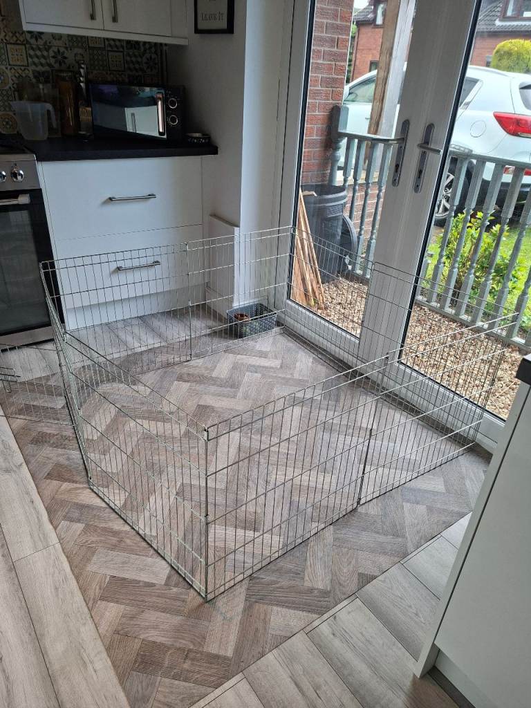 Dog pen