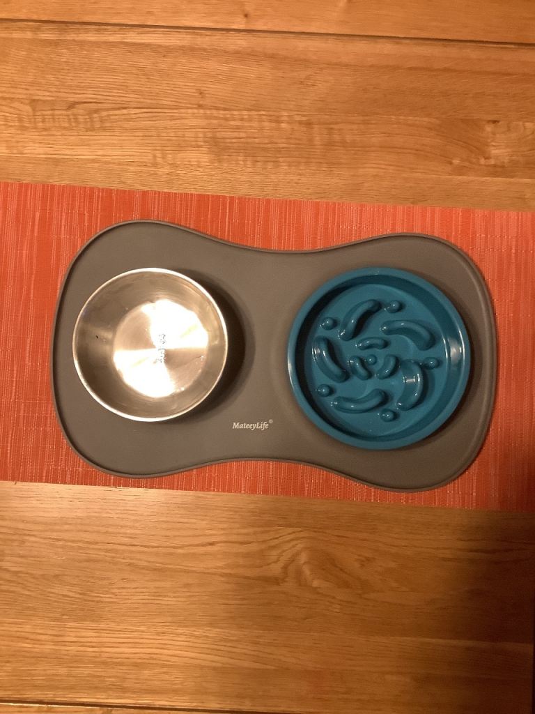 MateeyLife Pet Feeding Set & Small/Puppy Walking Harness