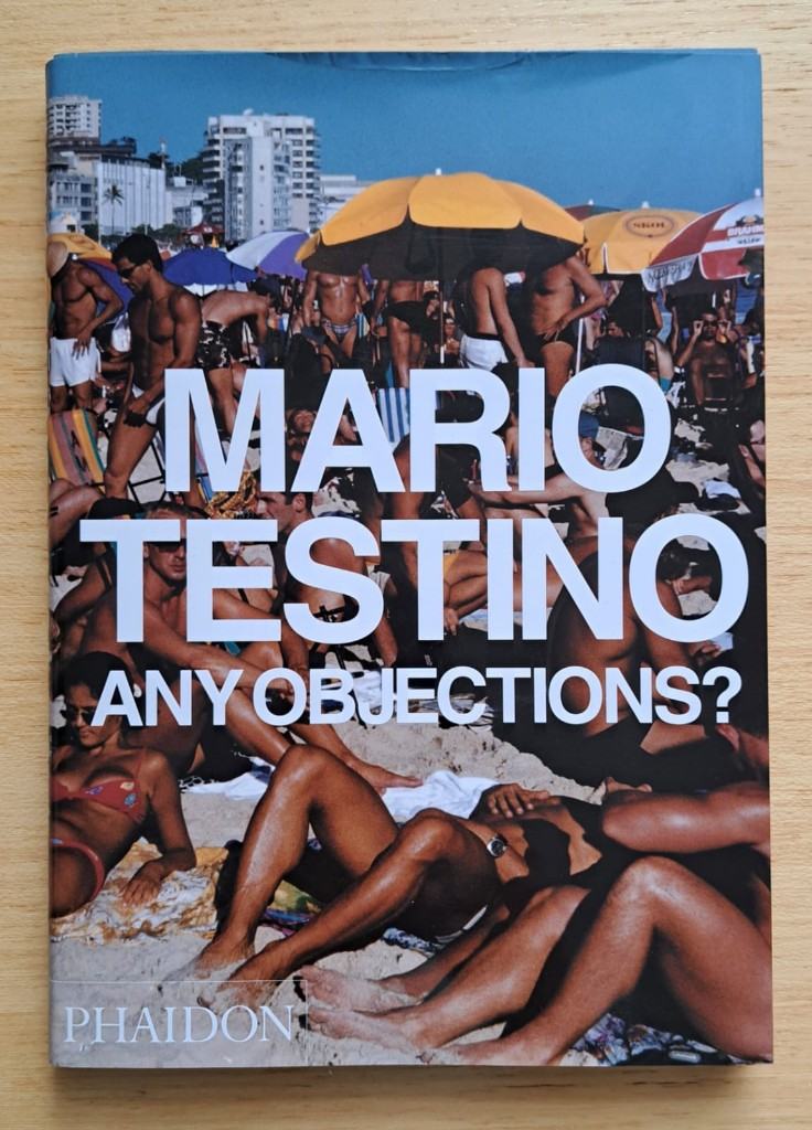 Mario Testino, Any Objections, excellent condition