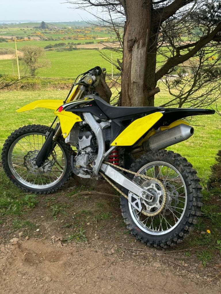 Suzuki rmz 250