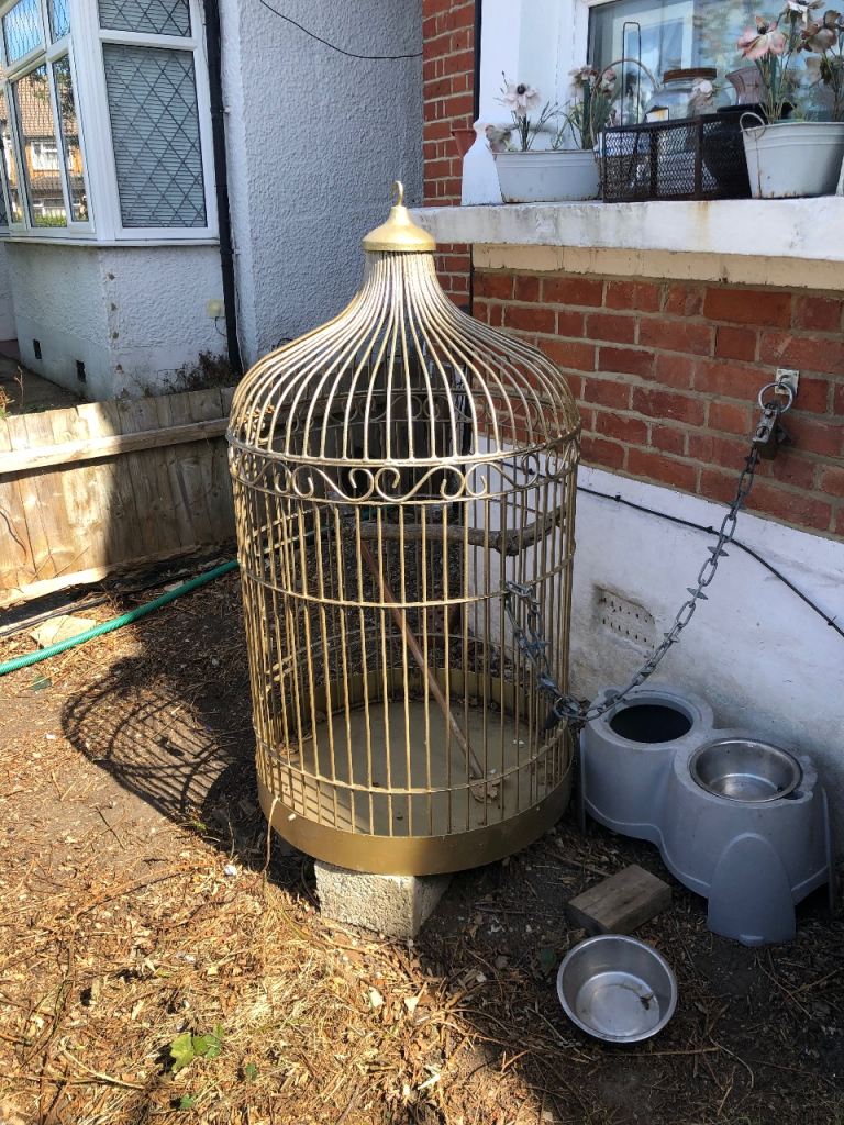 Large Gold Bird Cage - Dome Top, Good Size for Aviary