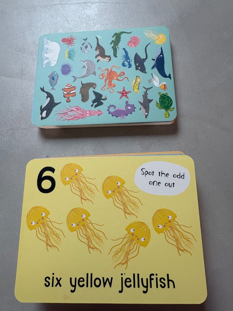 Kids' 'Spot the Odd One Out' Learning Cards – As Good As New