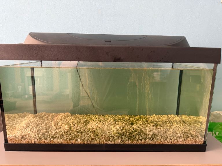 54L fish takk