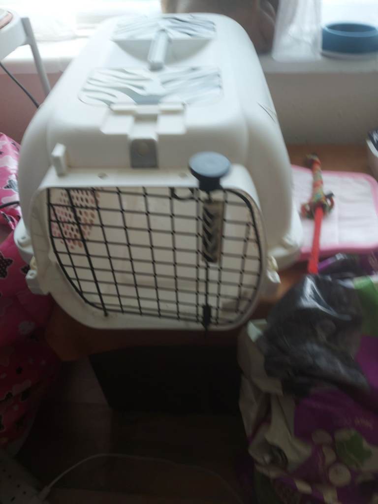 Cat carrier