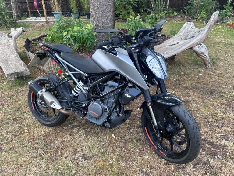 KTM, DUKE, 2020, 390 (cc)
