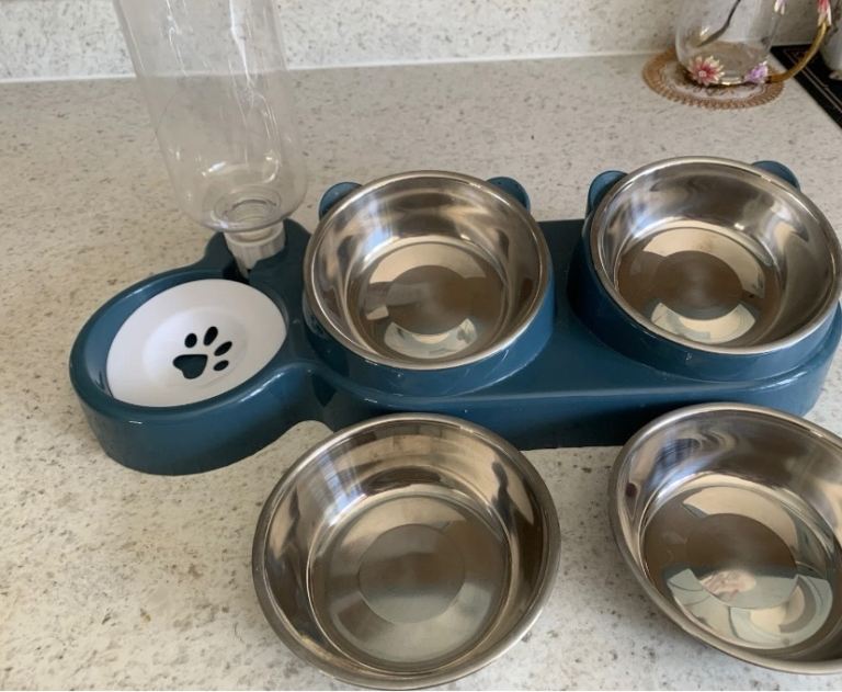 Cat/small Animal Tilted Feeding Station With Water Bottle And Spare Metal Bowls