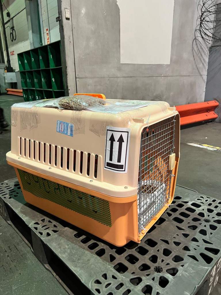 Large pet cage for sale!