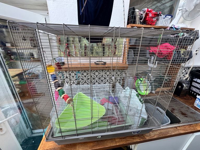 Small animal cage