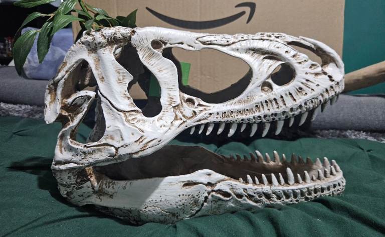 Reptile dinosaur skull large 