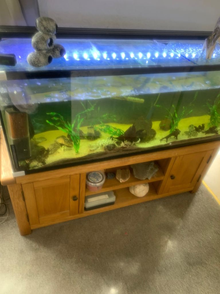 4ft fish tank and stand 