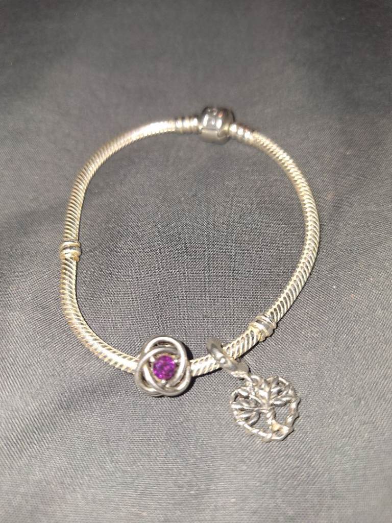 Pandora bracelet with two charms.