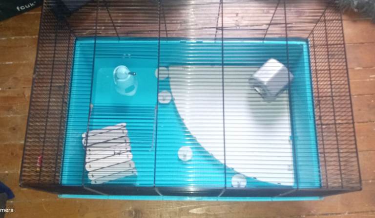 Xl hamster cage and accessories 