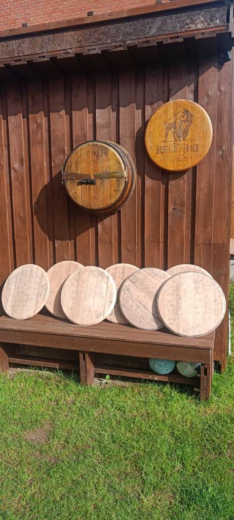 Oak barrel lids sanded and cleaned have support on the back.£25 each.