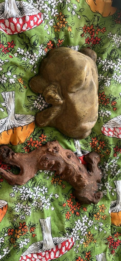 Small reptile hide and driftwood 