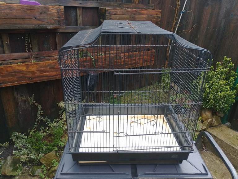 Bird cage