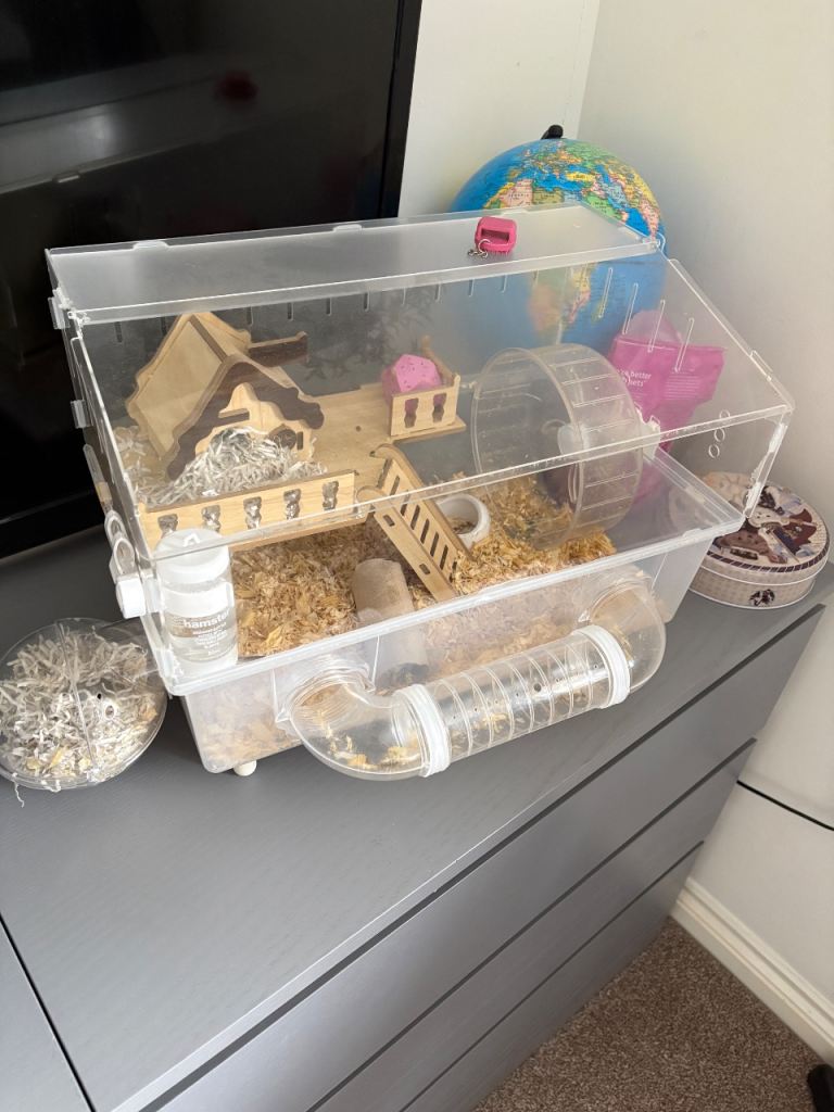 Hamster cage 
