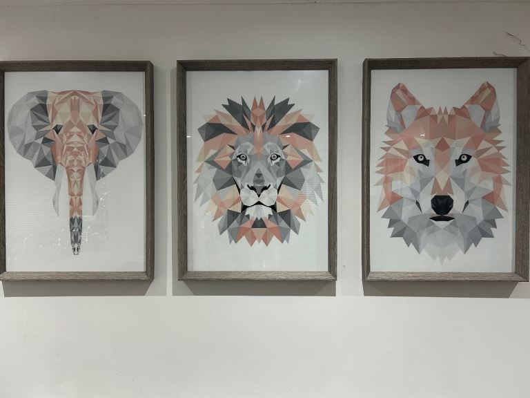 Set of 3 Framed Geometric Animal Prints – Grey and Pink Tones
