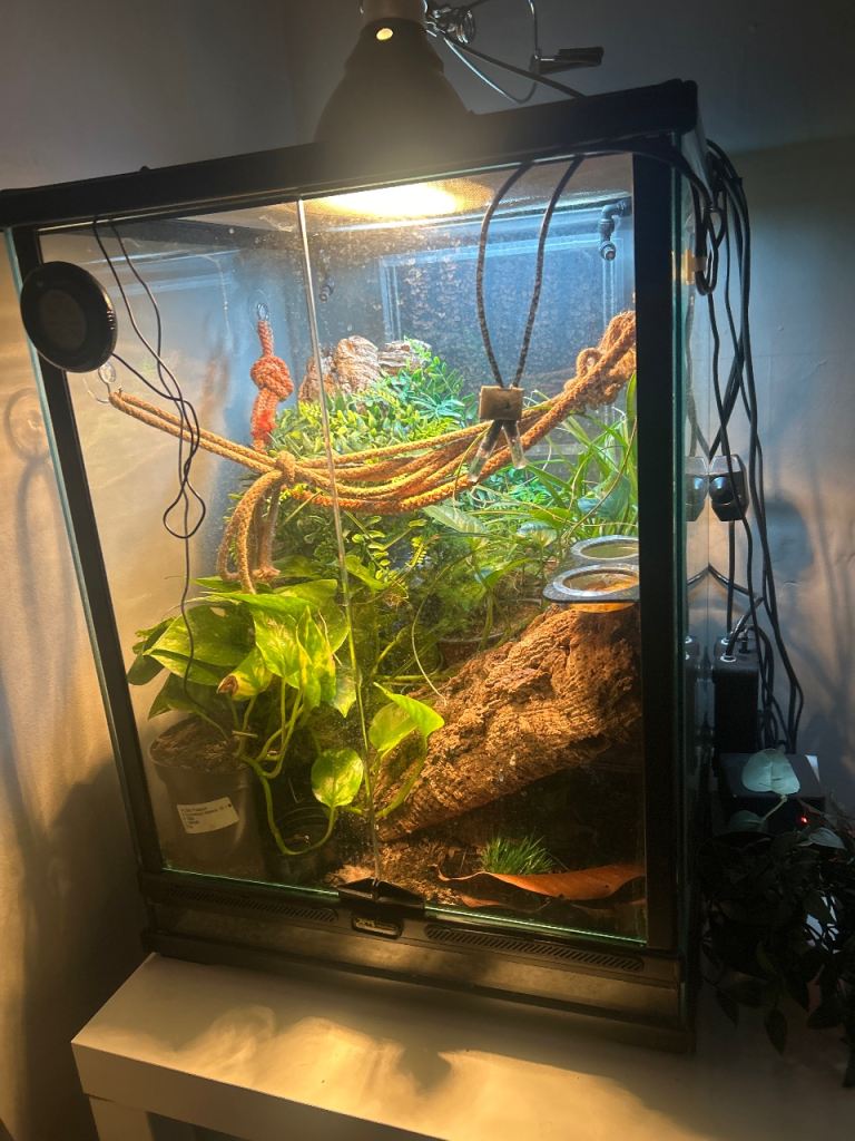 A pair of Crise echoes and including all the equipment for it