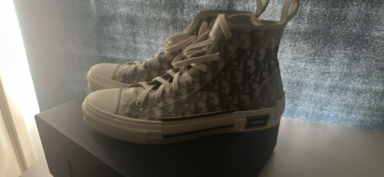 Dior trainers 