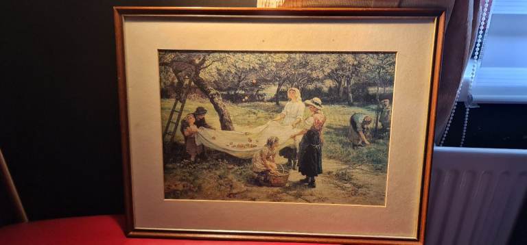 Framed picture 