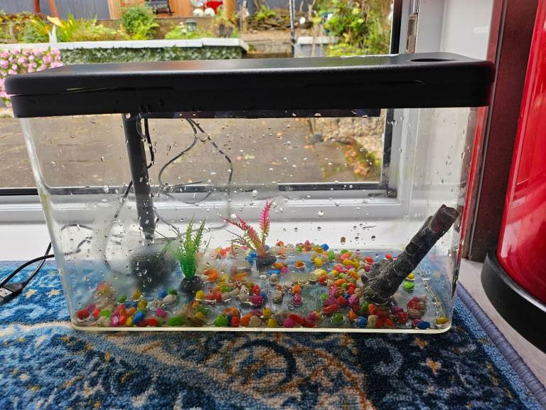 Small cold water fish tank