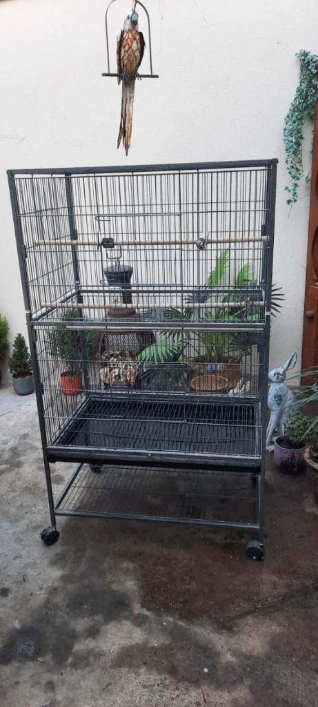 Large bird cage