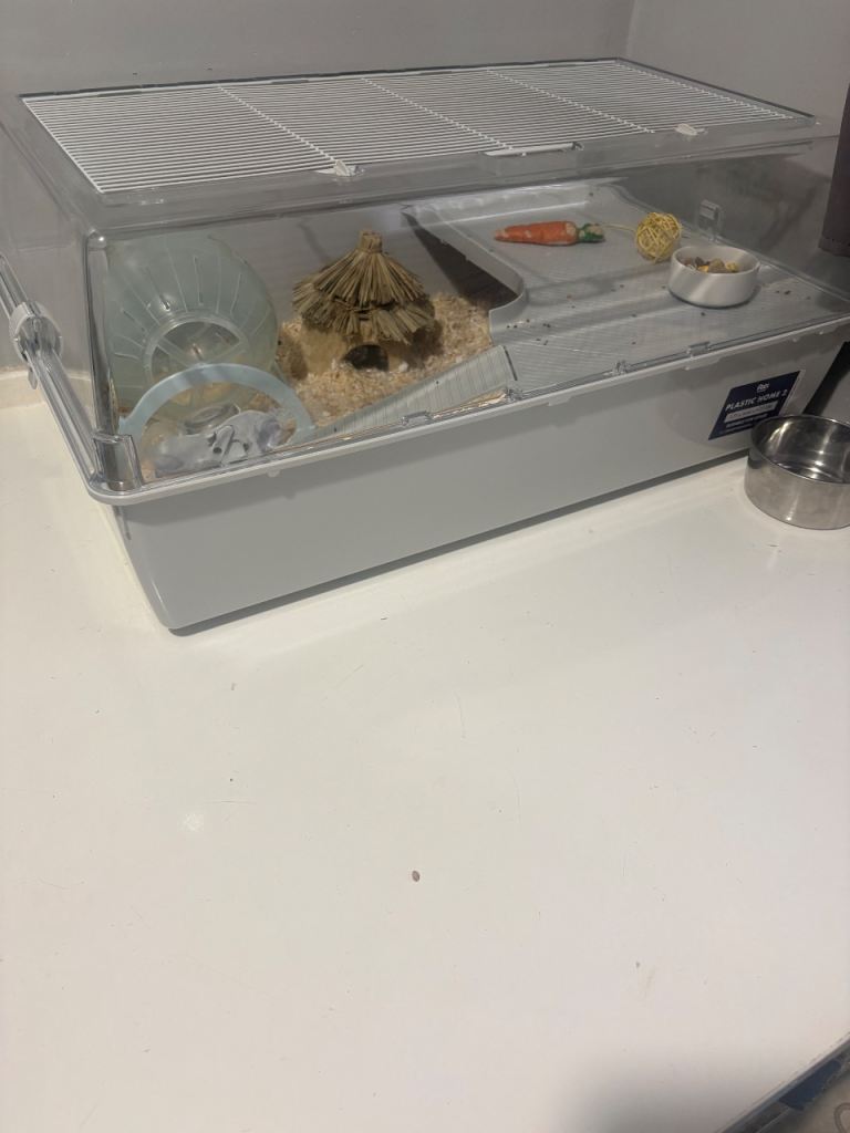 Hamster cage