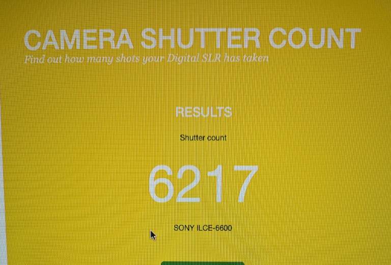 Sony A6600 with Tamron 17-70mm f/2.8 and DJI RS3 Mini