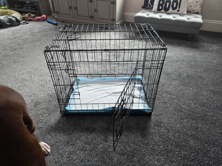 2 cages XXXL & small.