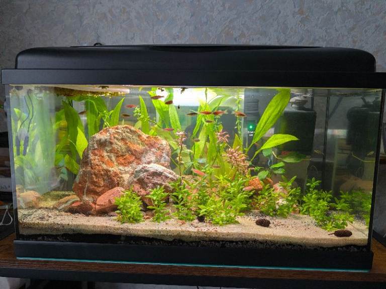 Complete aquarium set up 