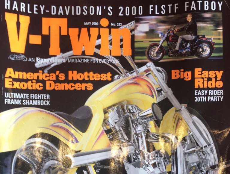 Harley Davidson Sporty Swingback Custom