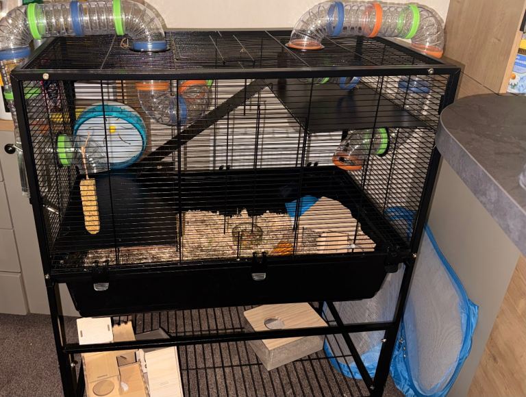 Hamster cage and hamster