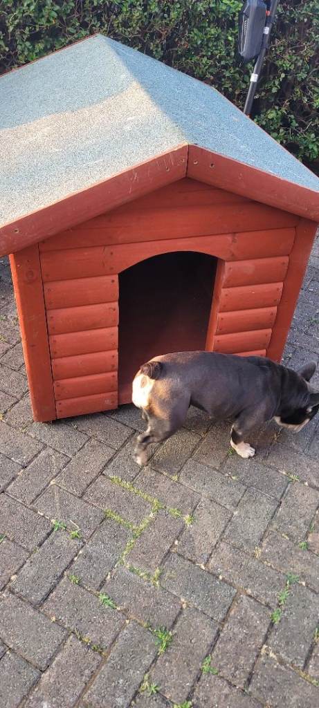 Dog kennel 