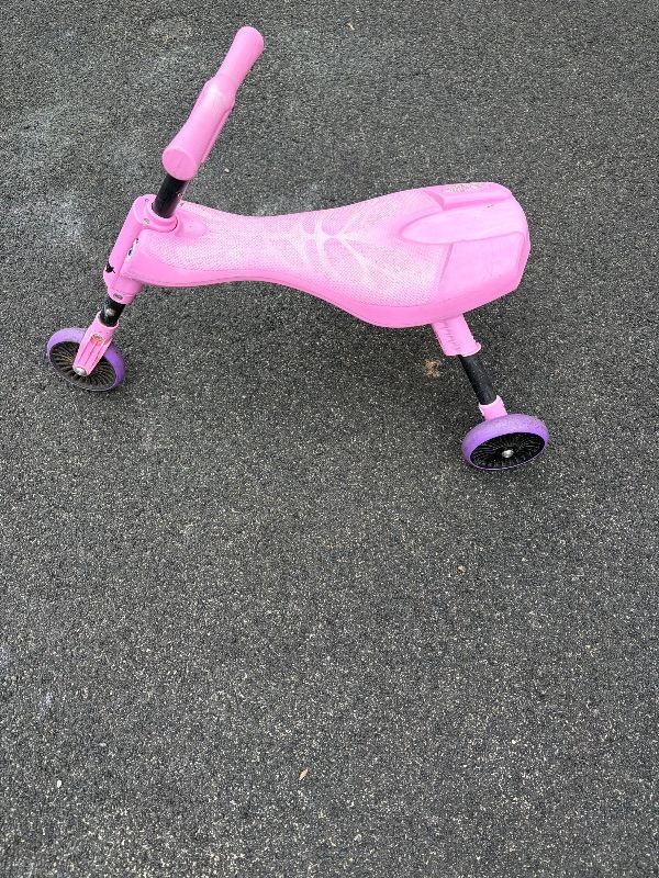 Lovely pink scuttlebug