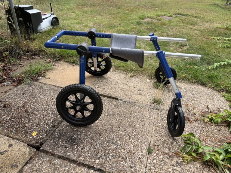 Large dog zoomadog wheelchair 