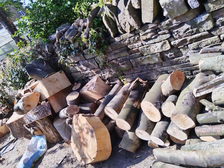 Logs