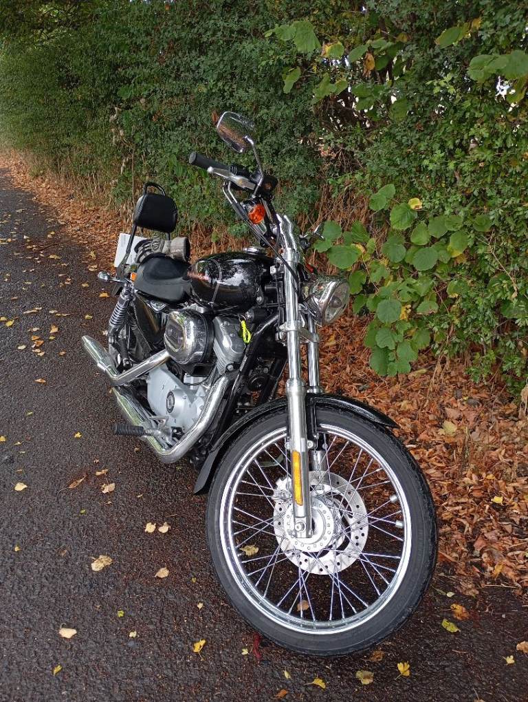 Harley Davidson 883 Custom