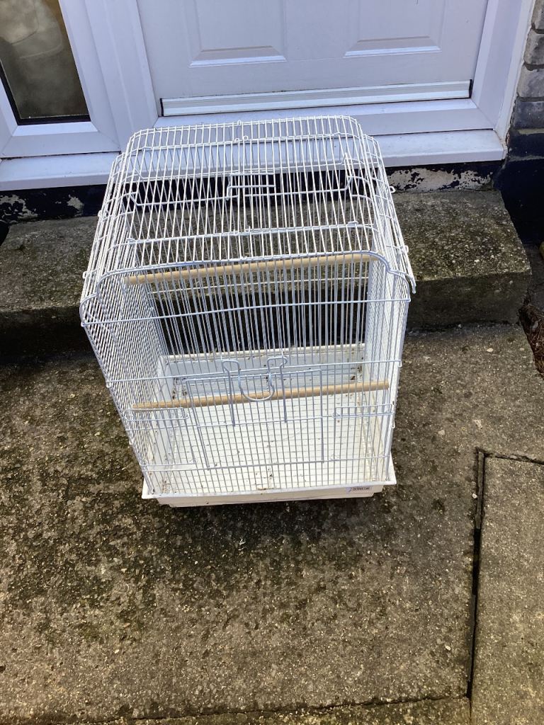 Free bird cage