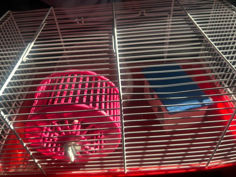Small hamster cage