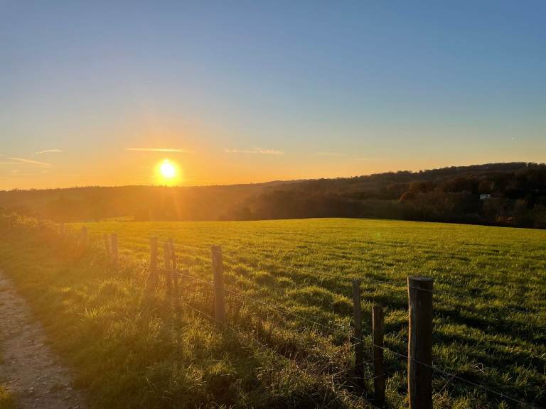 0.46 Acre Freehold Grazing/Amenity Land with Track Access – Cowden, Kent