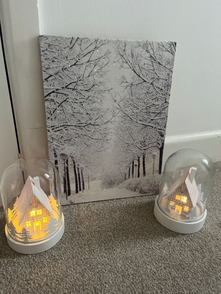 Winter Scene Light-Up Decorations and Canvas Picture – As Good As New