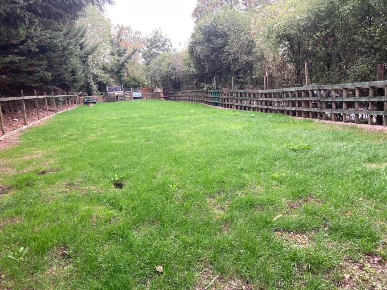 Land for rent in Bishop Stortford Match Adam Hertfordshire