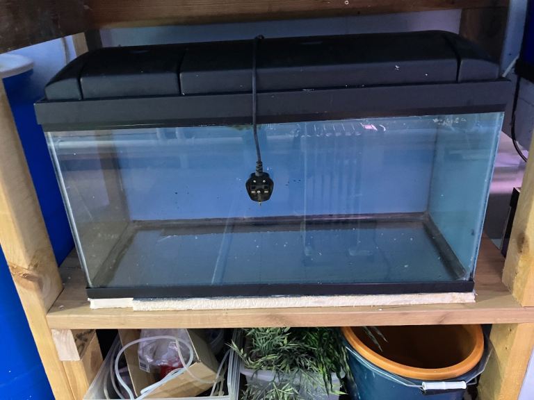Aquarium 