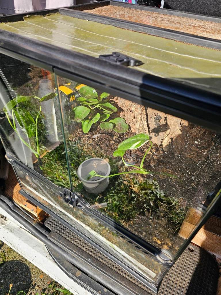 Exoterra bioactive vivarium 