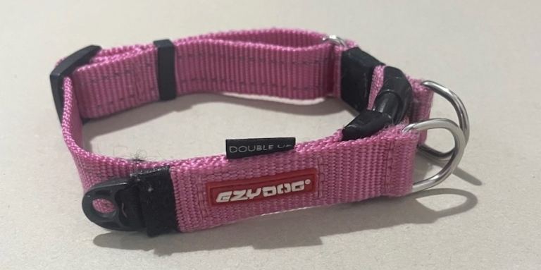 Medium dog collar 
