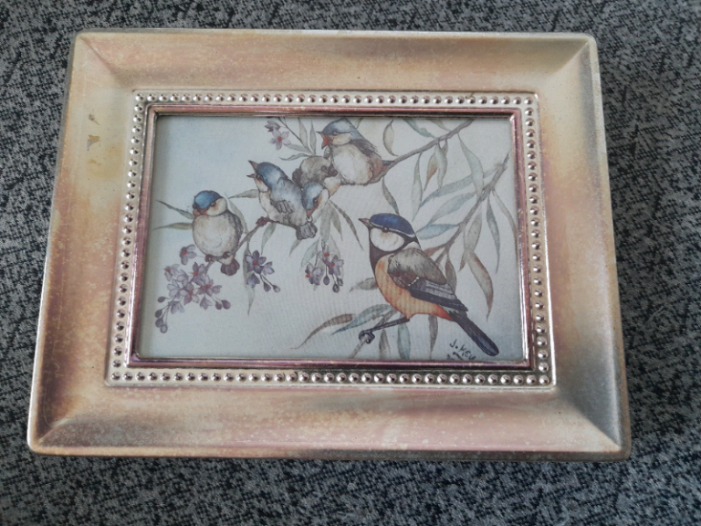 Vintage Birds Picture Frame