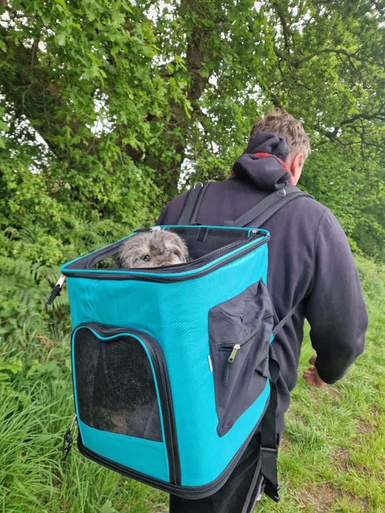 Pet backpack 