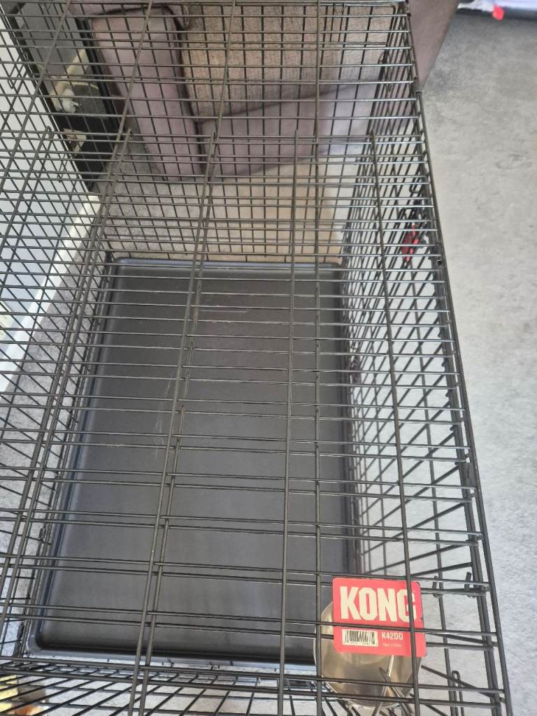 Large Kong dog crate 