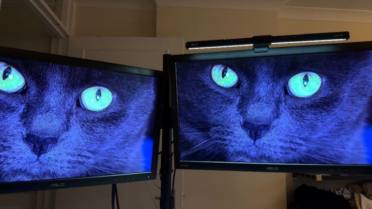 ASUS Computer Monitors - Pair in Good Condition